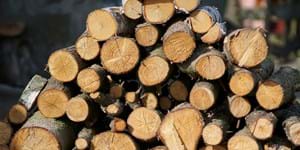 Holz