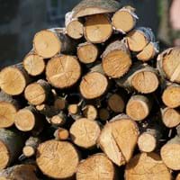Holz